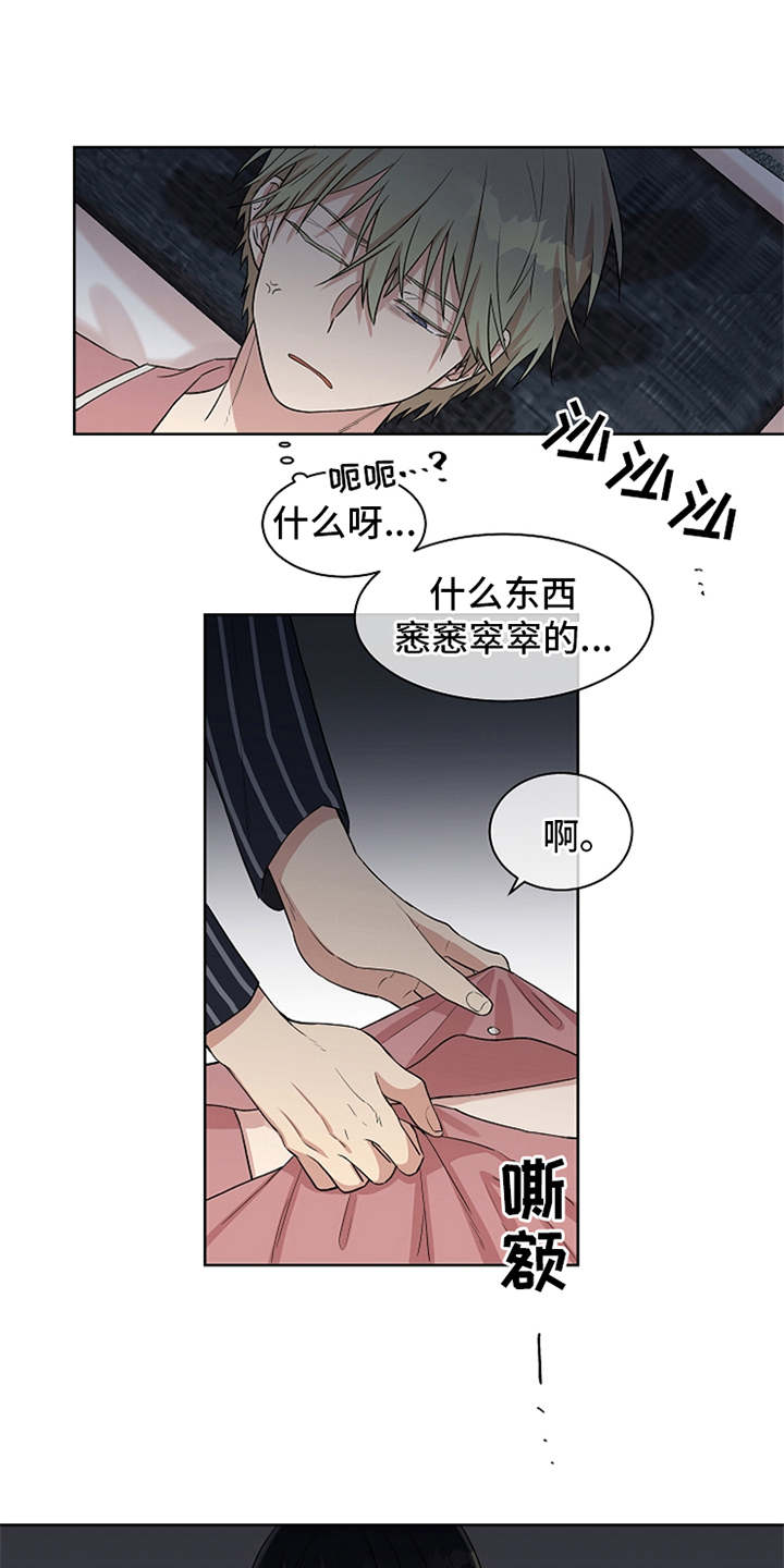 第16章：调查12