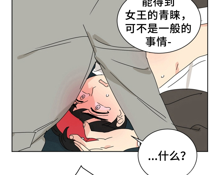 第8章：要求21