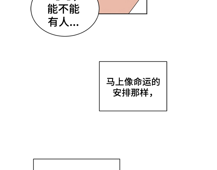 第2章：命运安排1