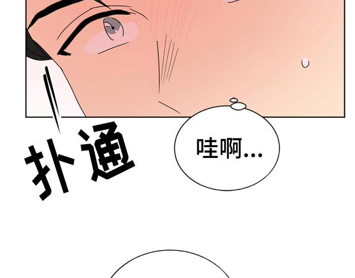 第2章：命运安排13