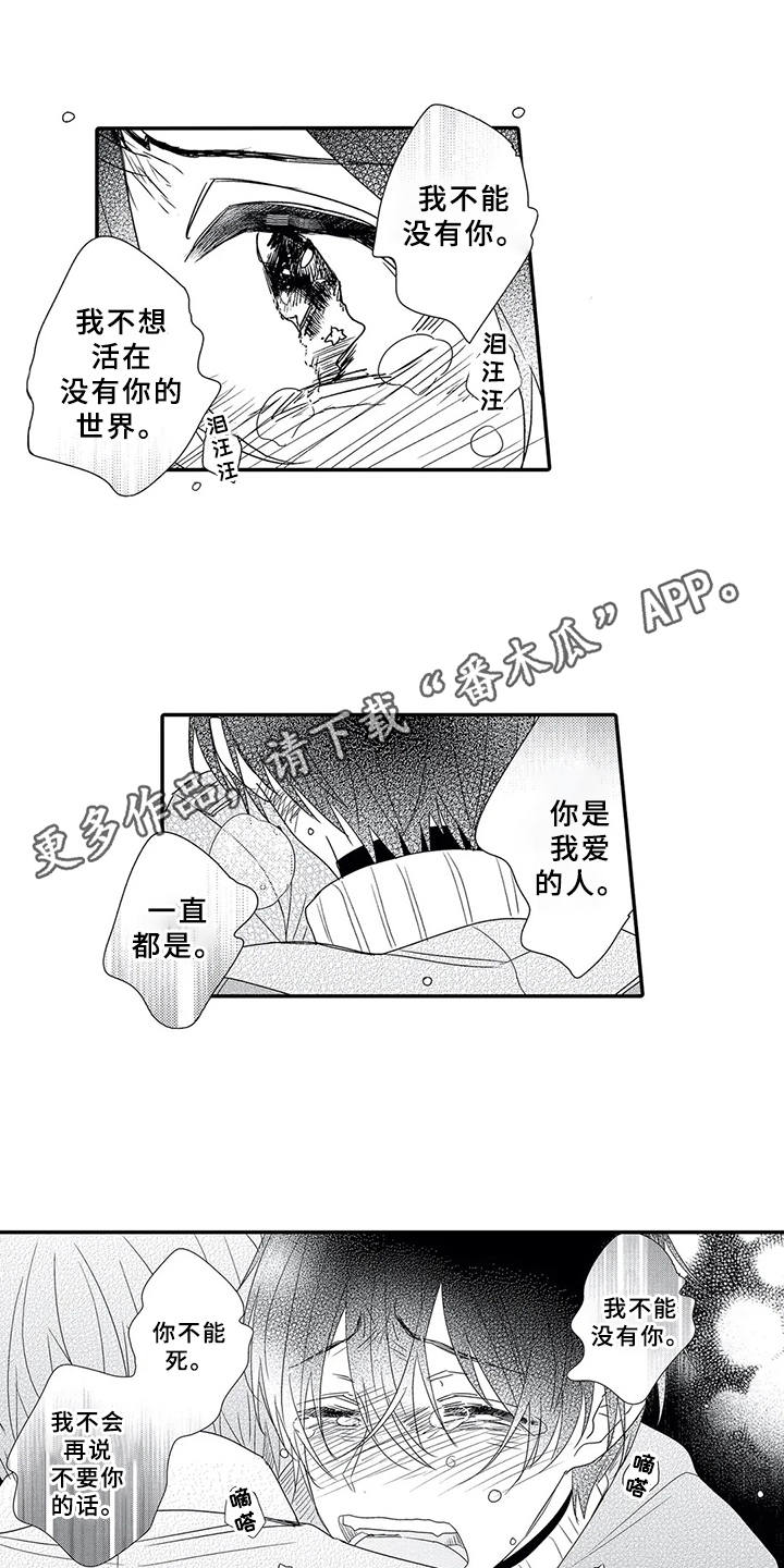 第17章：坦白心意6