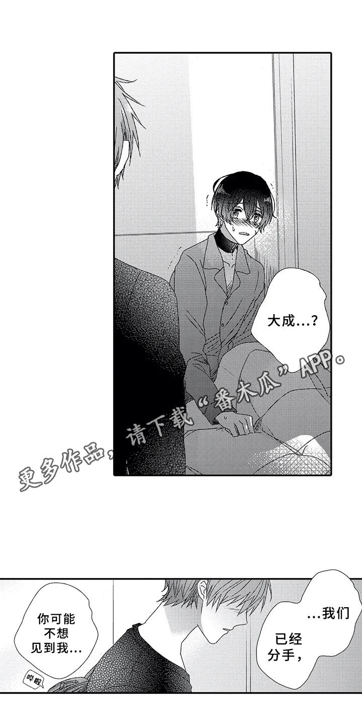 第11章：分手吧9