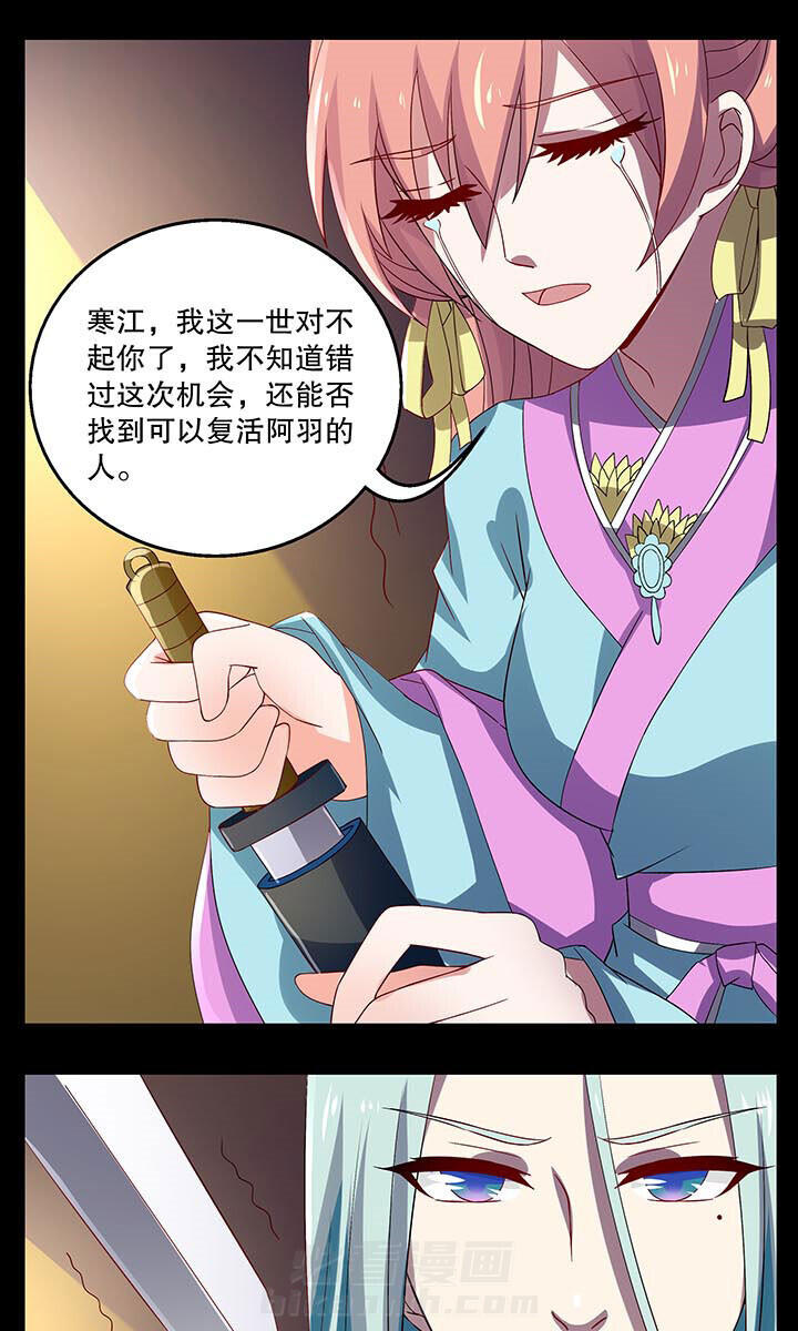 第41章：4