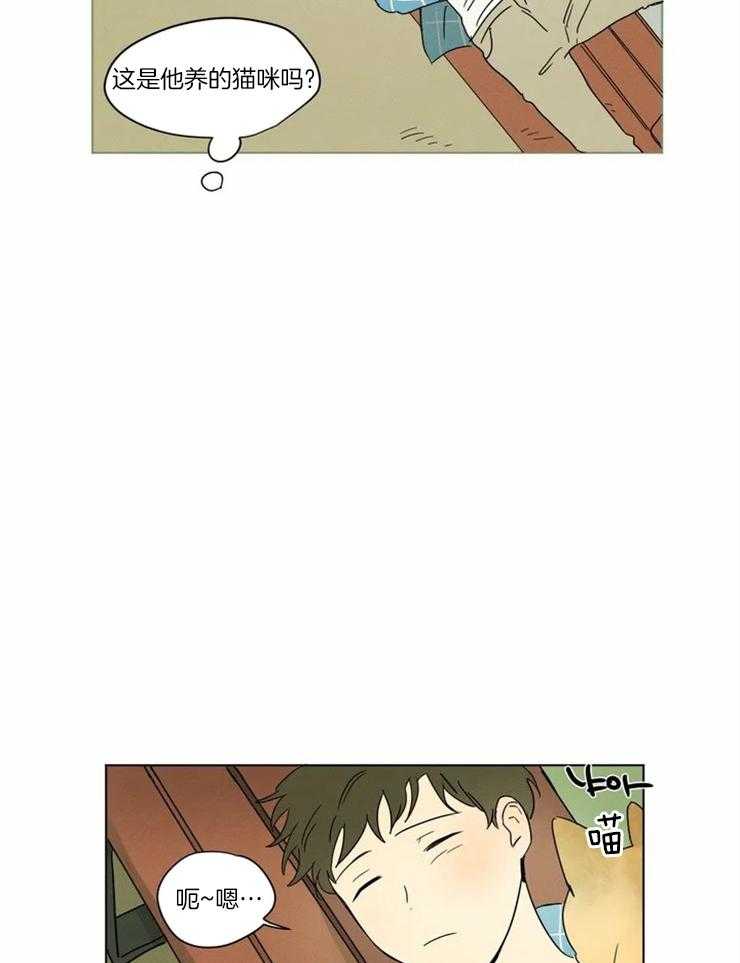 第11话 连鸡都很喜欢他12