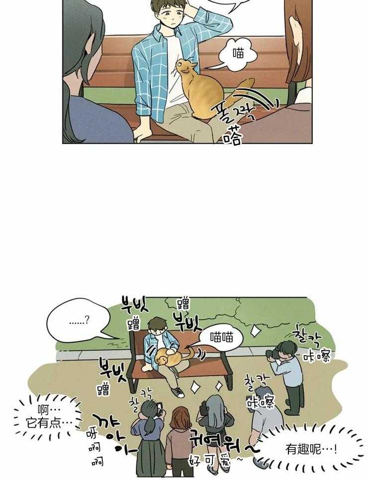 第11话 连鸡都很喜欢他15