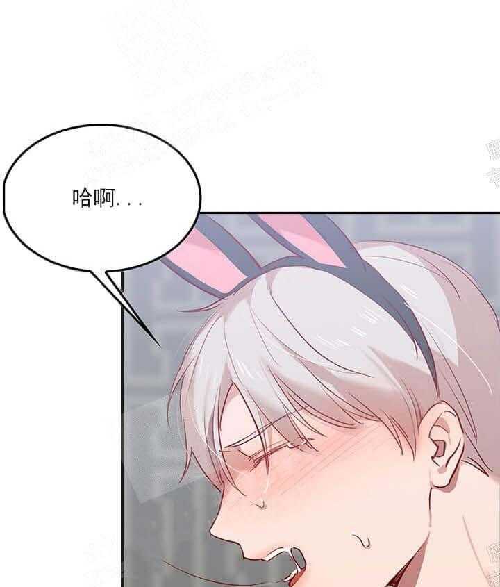 第22话 我的小兔子38