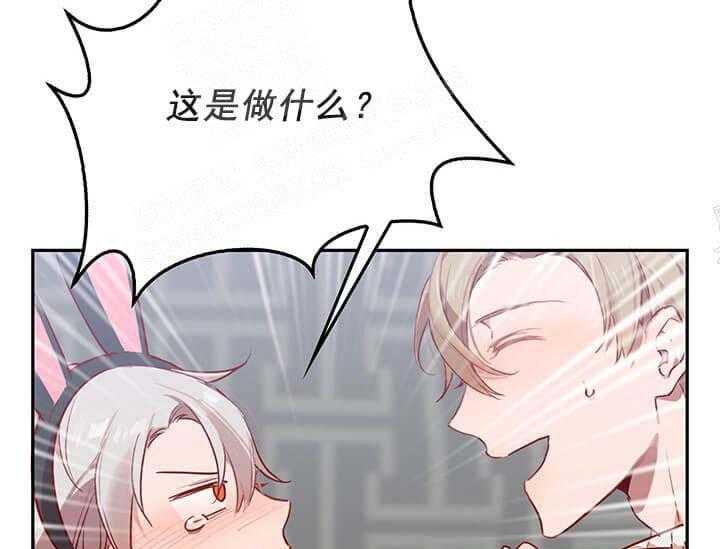 第22话 我的小兔子42