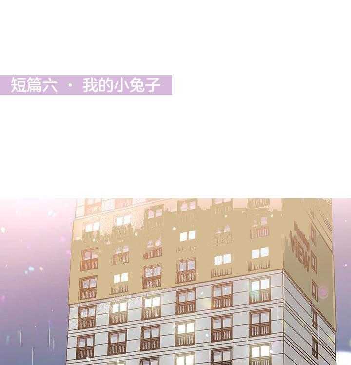 第19话 我的小兔子0