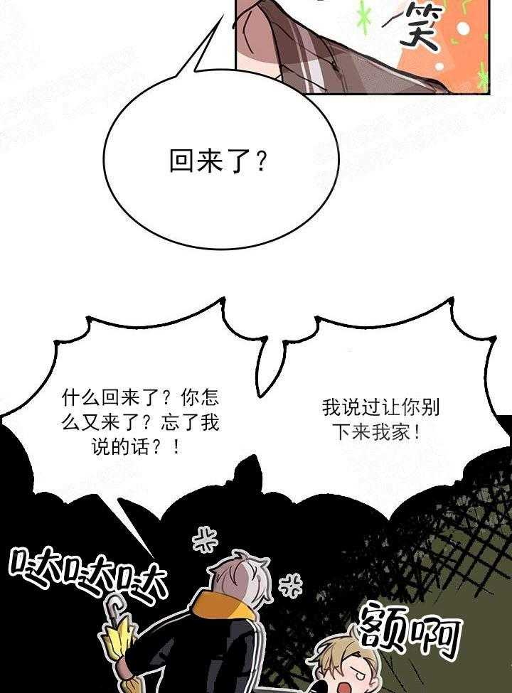 第19话 我的小兔子8