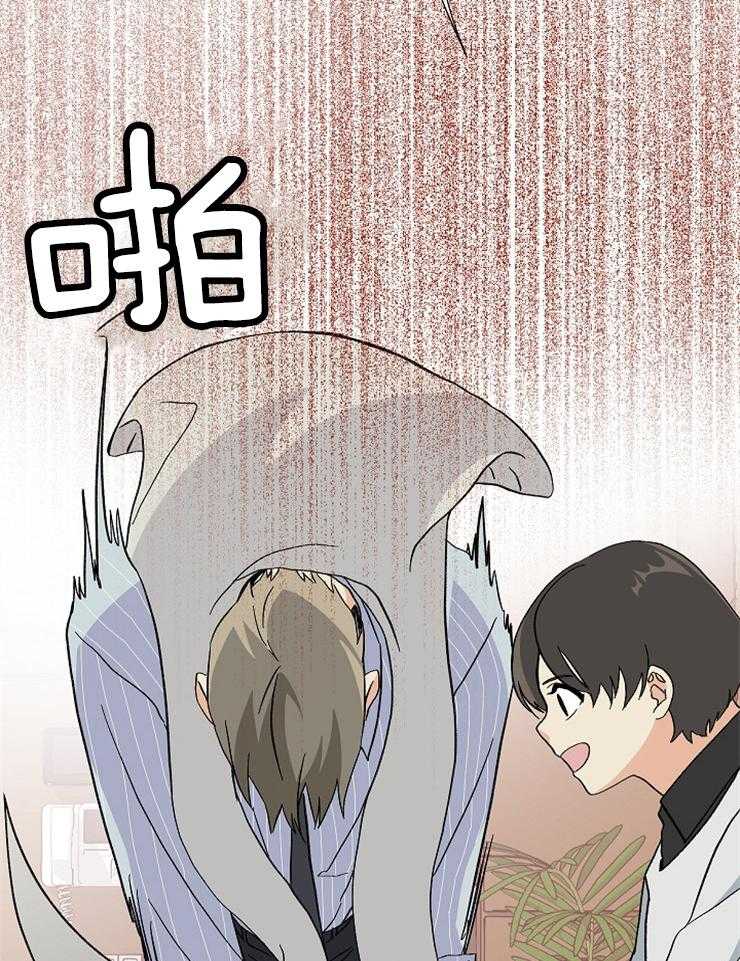 第1话_结婚综艺36