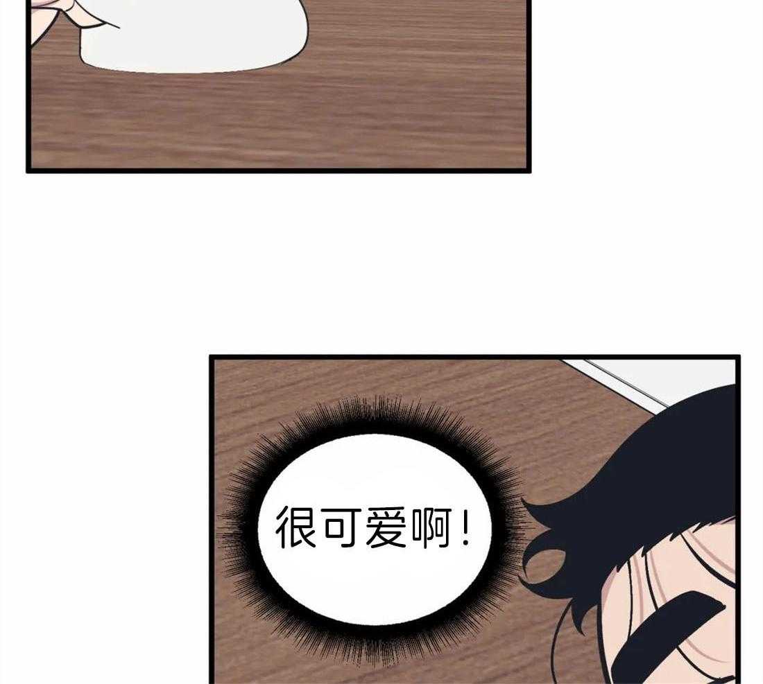 第11话 一起解决17