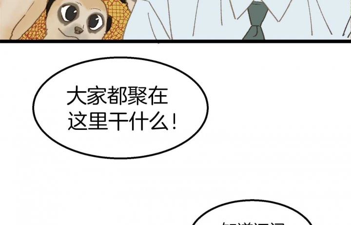 第28话13