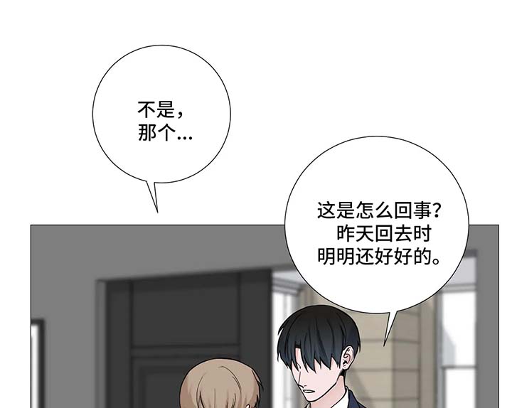 第115话0