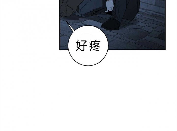 第100话30