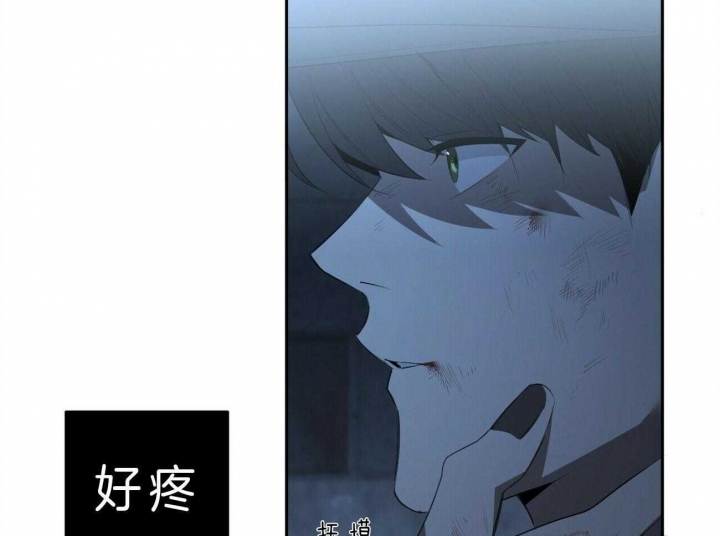 第100话43