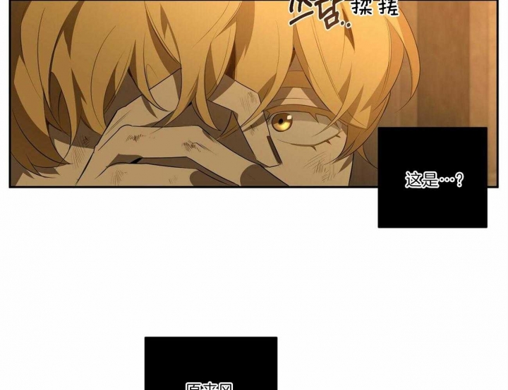 第114话27
