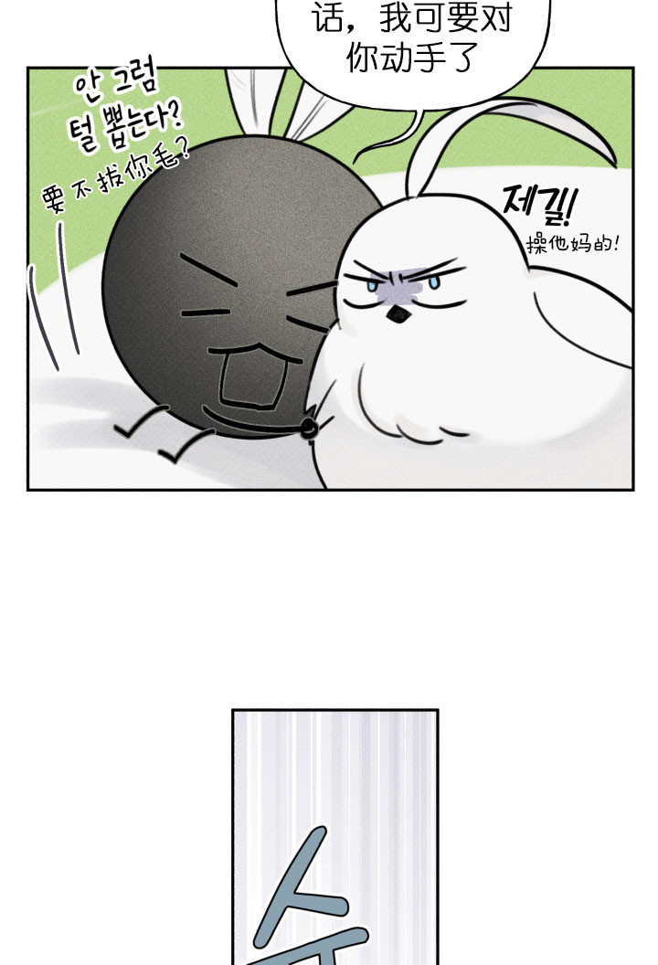 第119话5