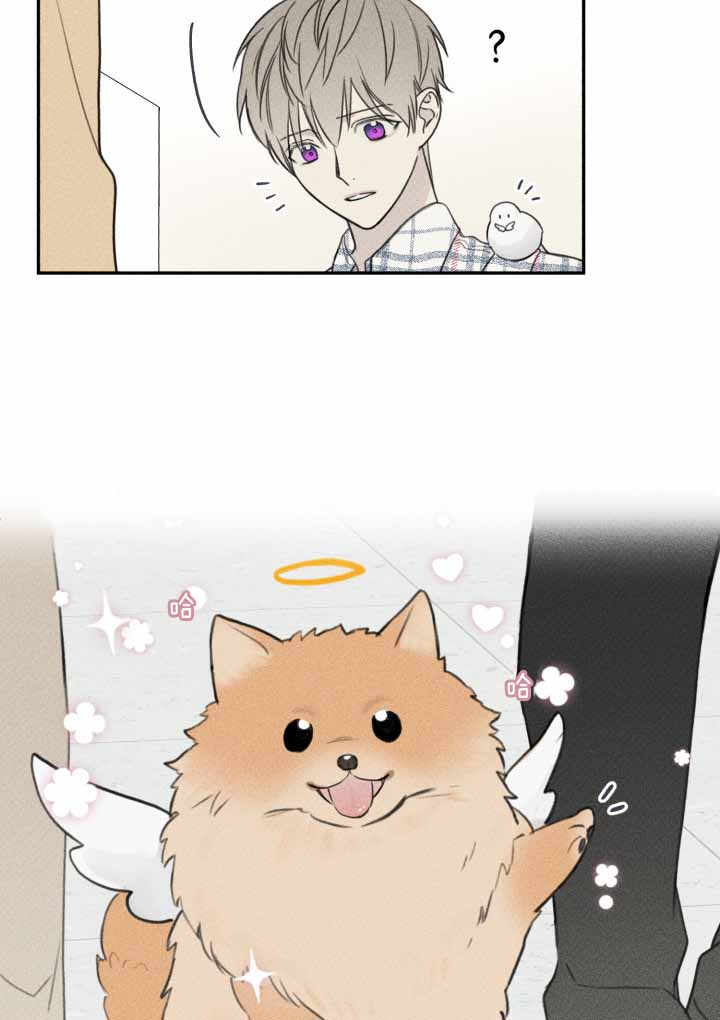 第145话4