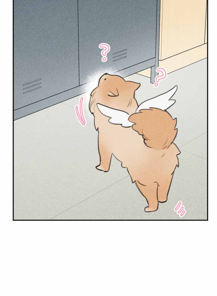 第146话23