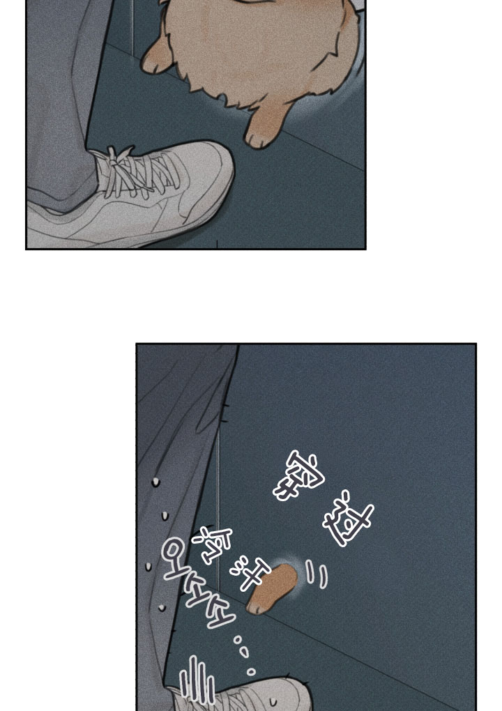 第147话16