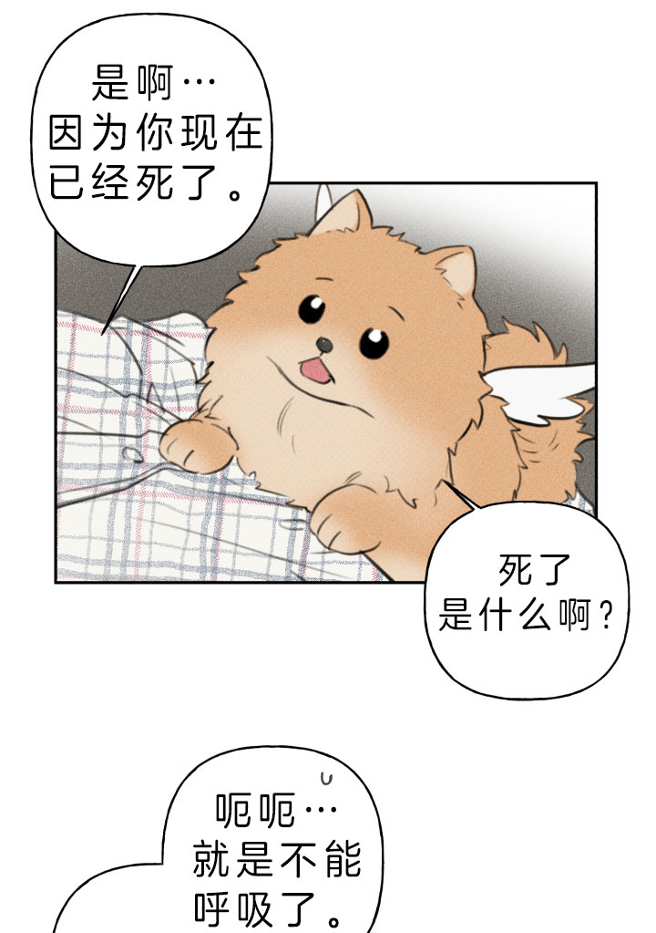 第149话11