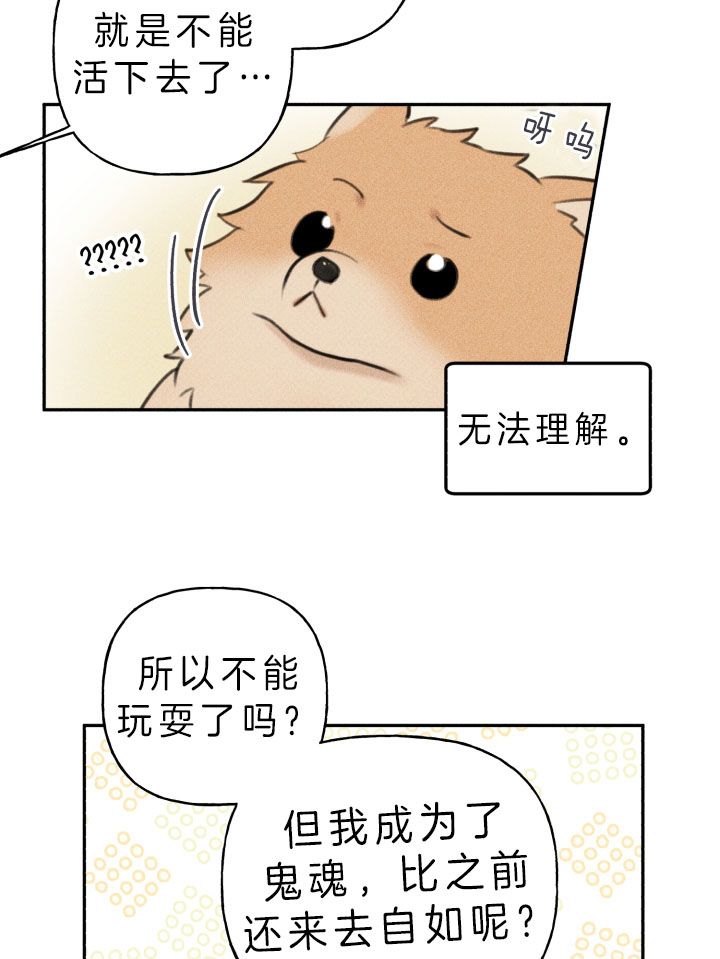 第149话12