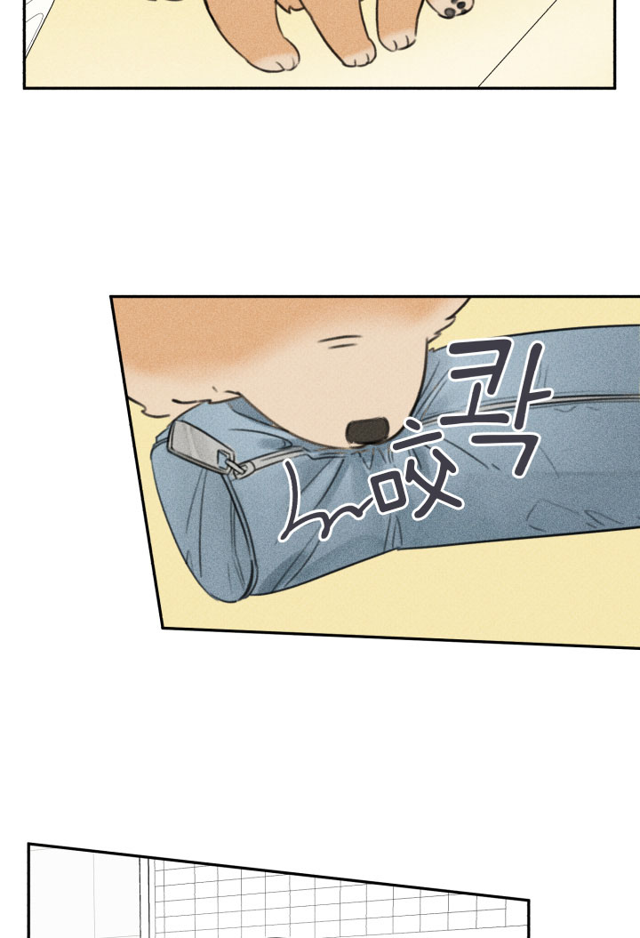 第153话11