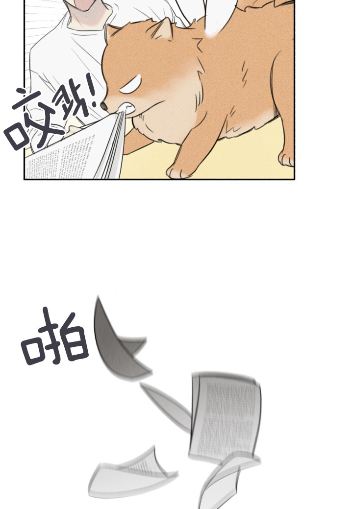 第153话17