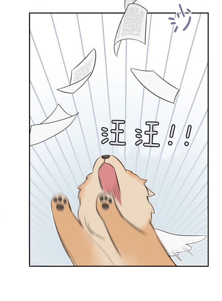 第153话18