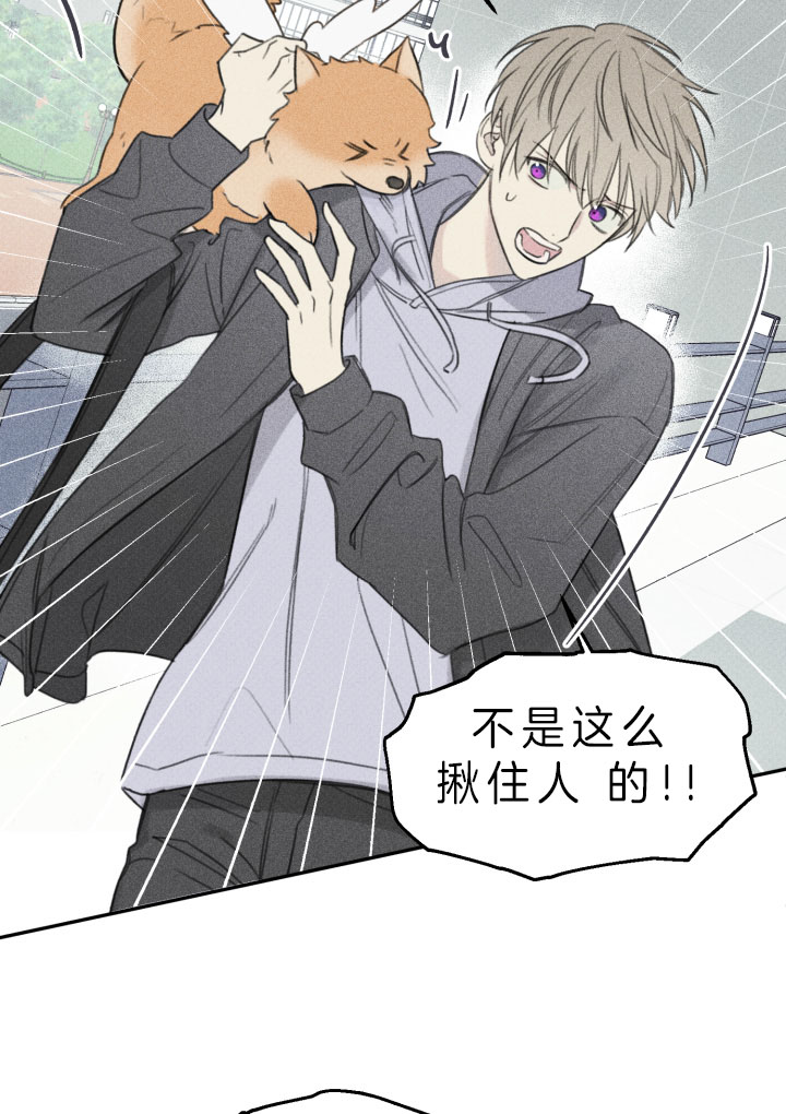 第155话19
