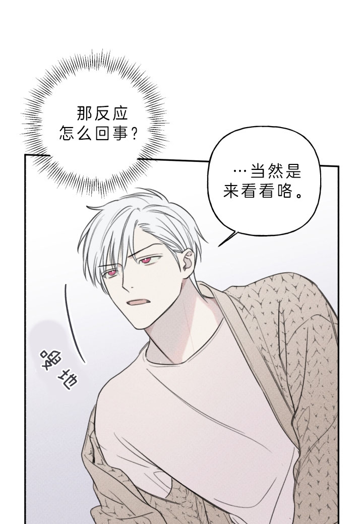 第162话5