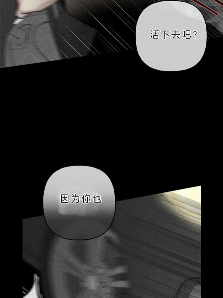 第164话23