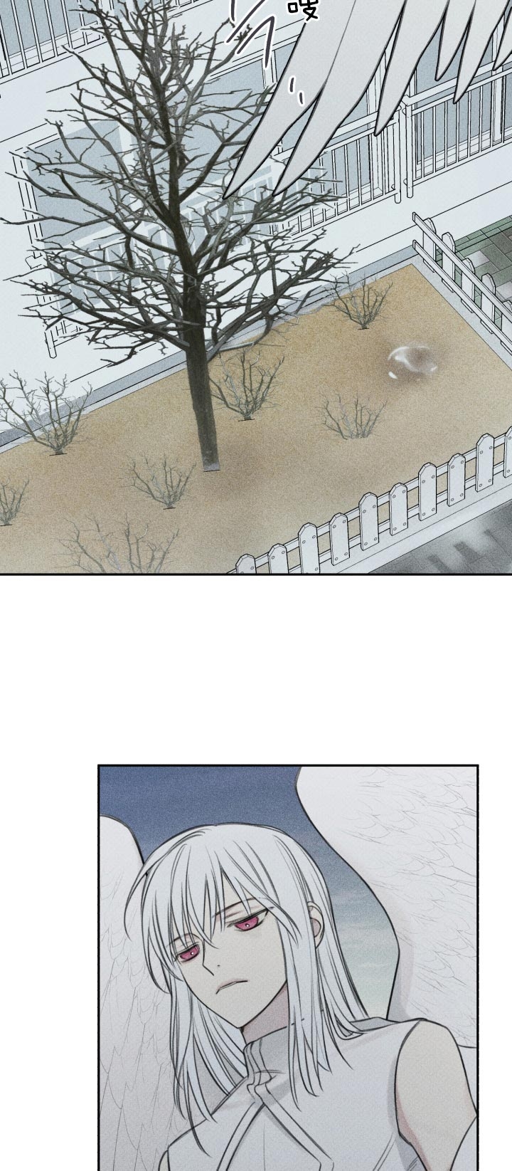 第169话11