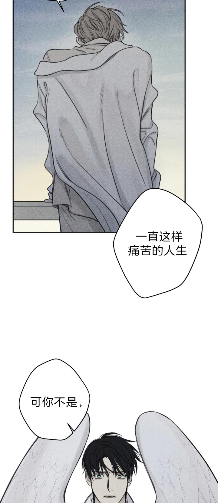 第169话15