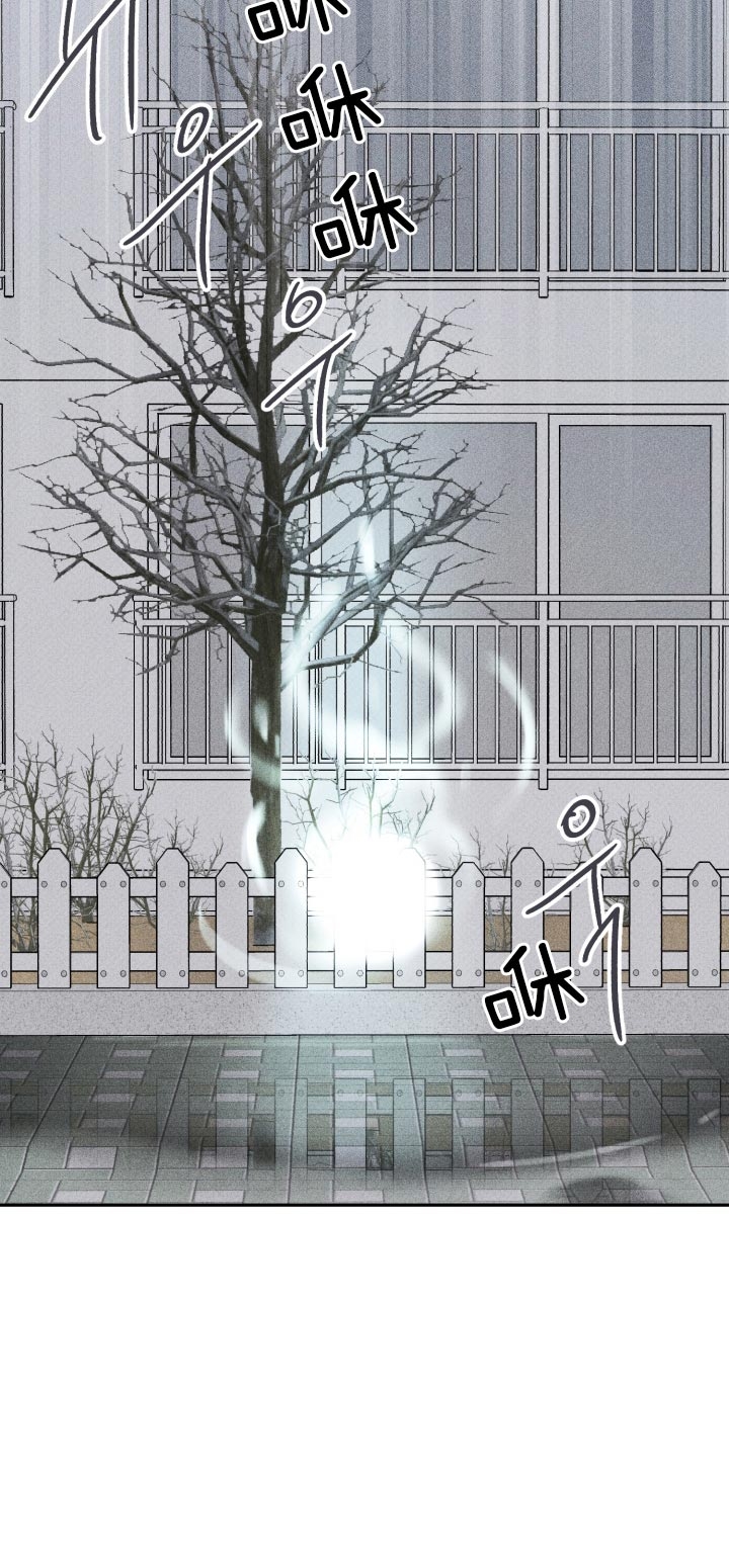 第170话13