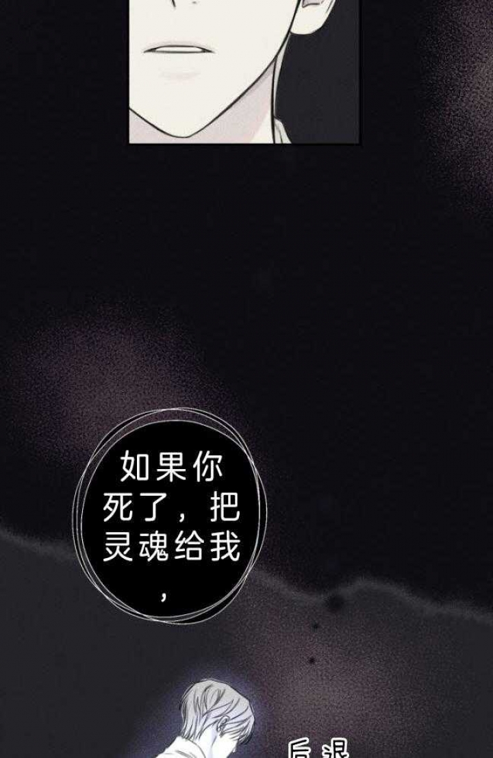 第176话14