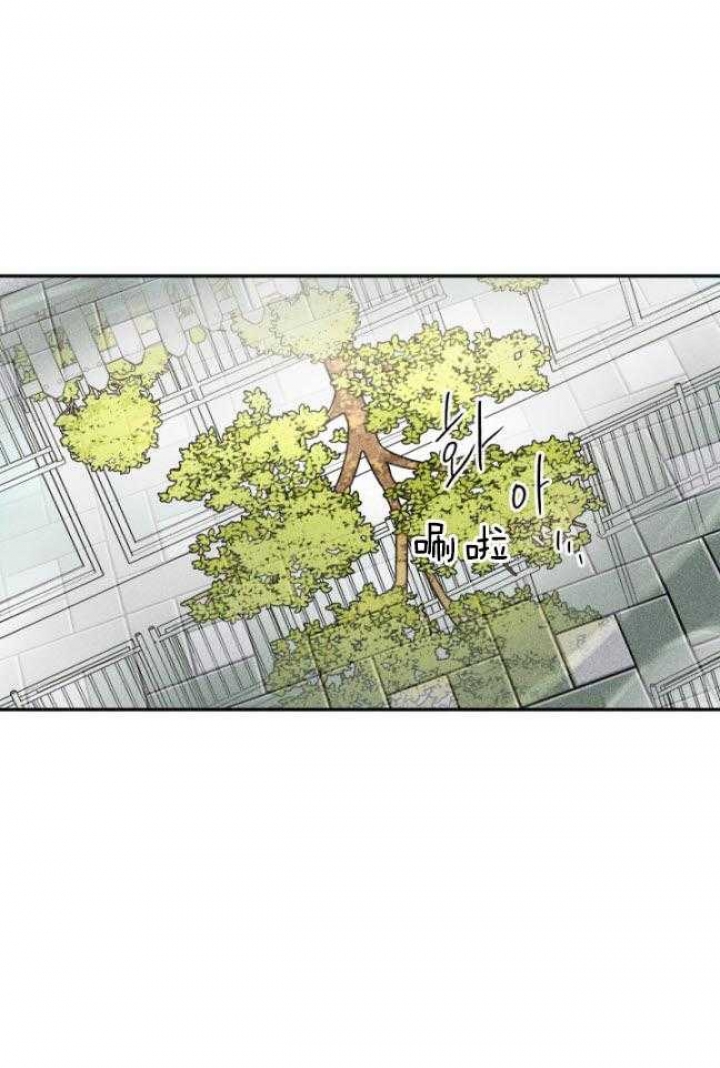 第176话33