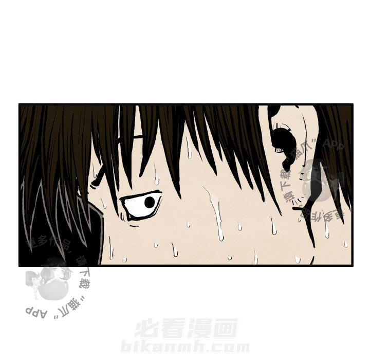 第25话 2529