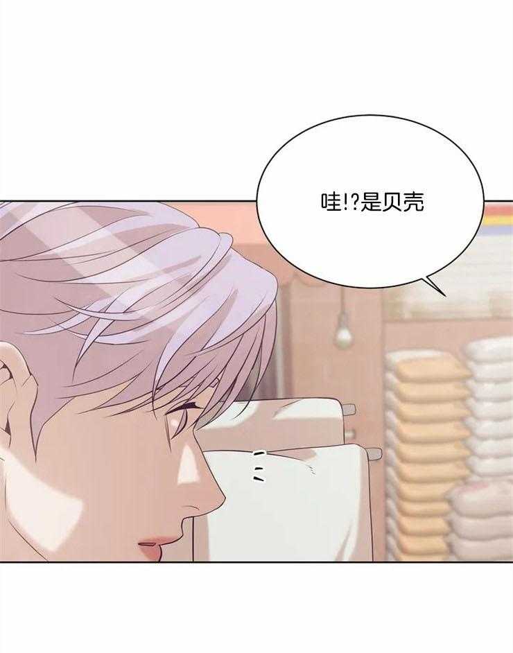 第71话_贝壳18