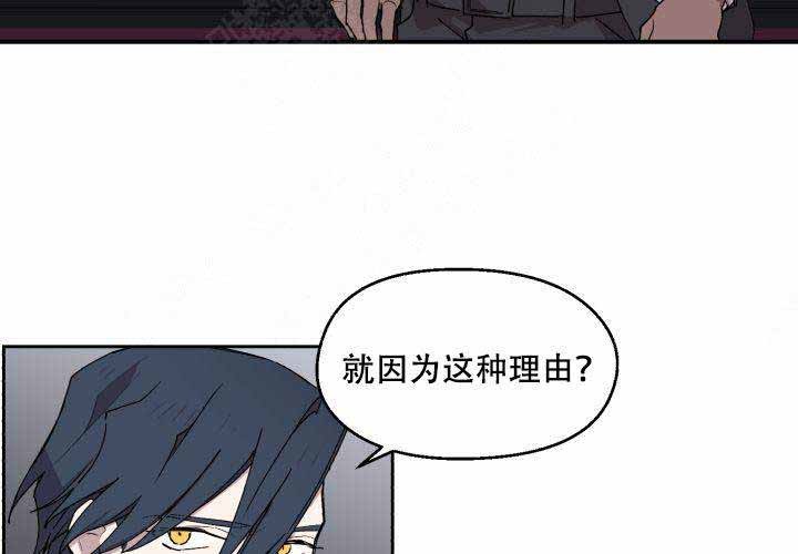 第11话8