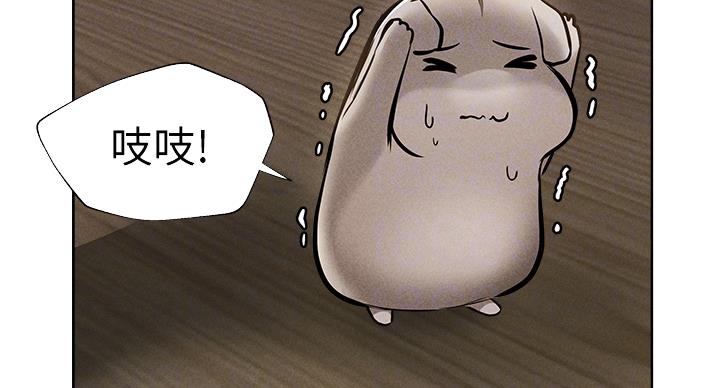 第100话13