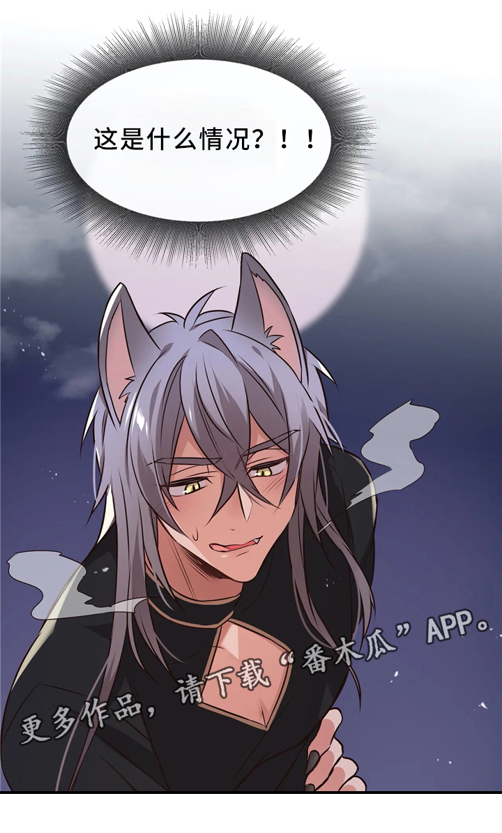 第45章：危机10