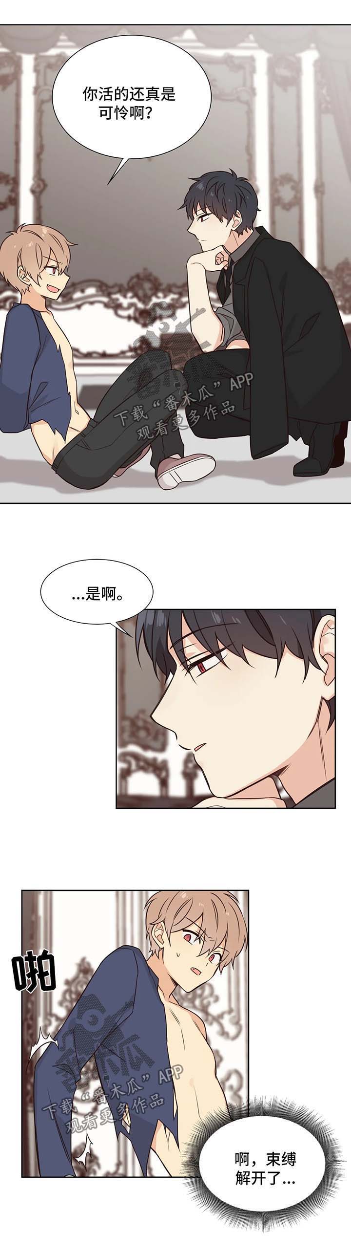 第88章：做我的玩具3