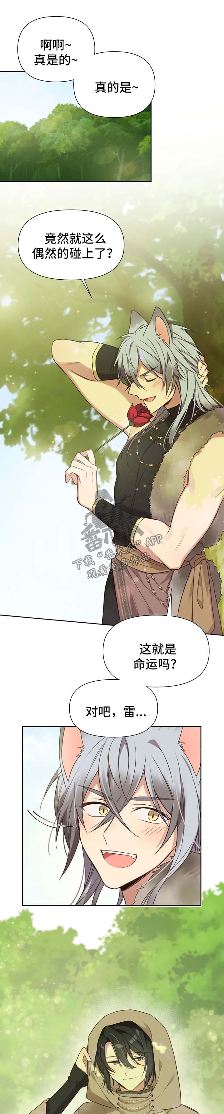 第104章：番外：雷奥50