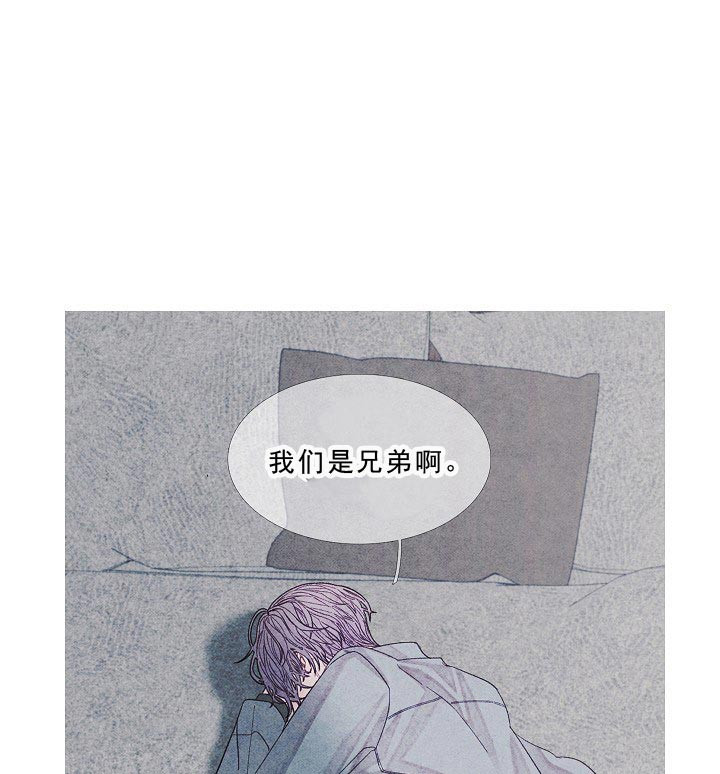 第17话 17_我们是兄弟啊8