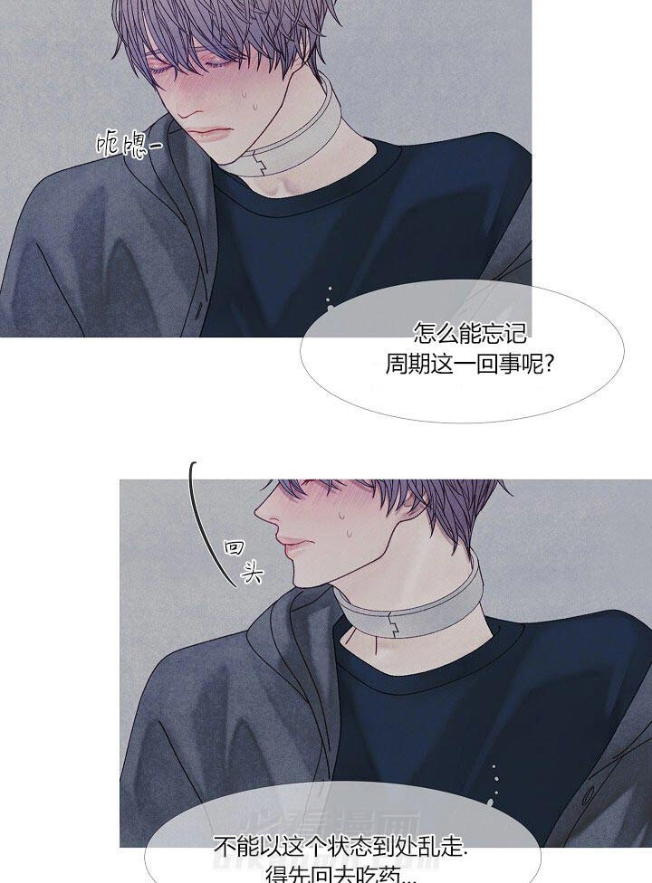 第41话 41_先回去吧15