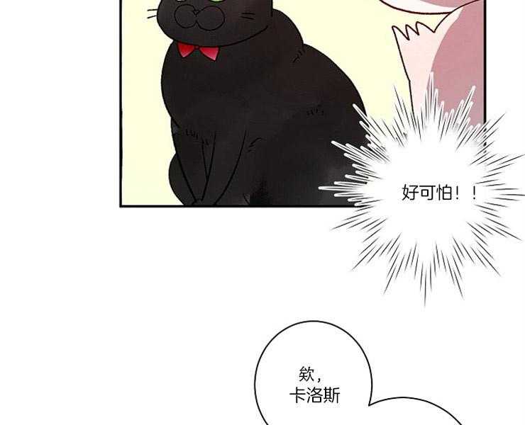 第1话 1_捡到36