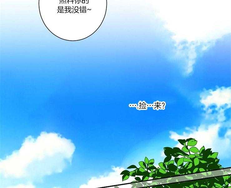 第2话 2_猫跑了2