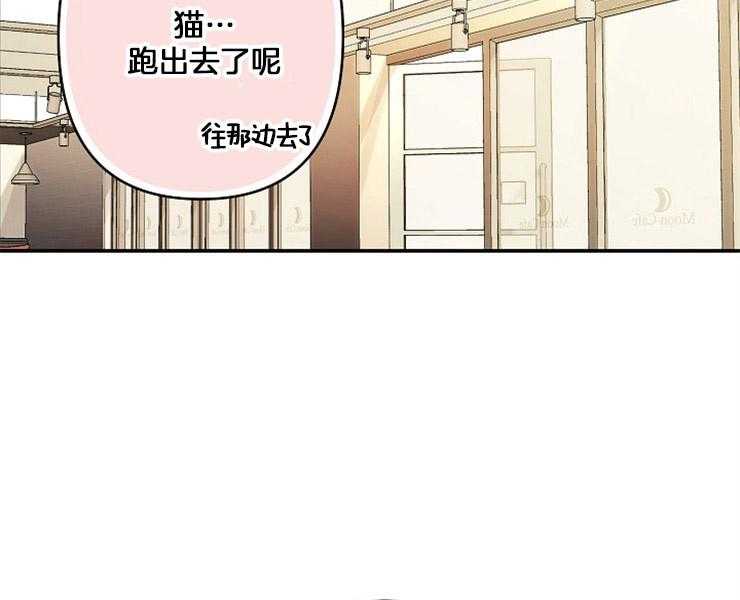 第2话 2_猫跑了33