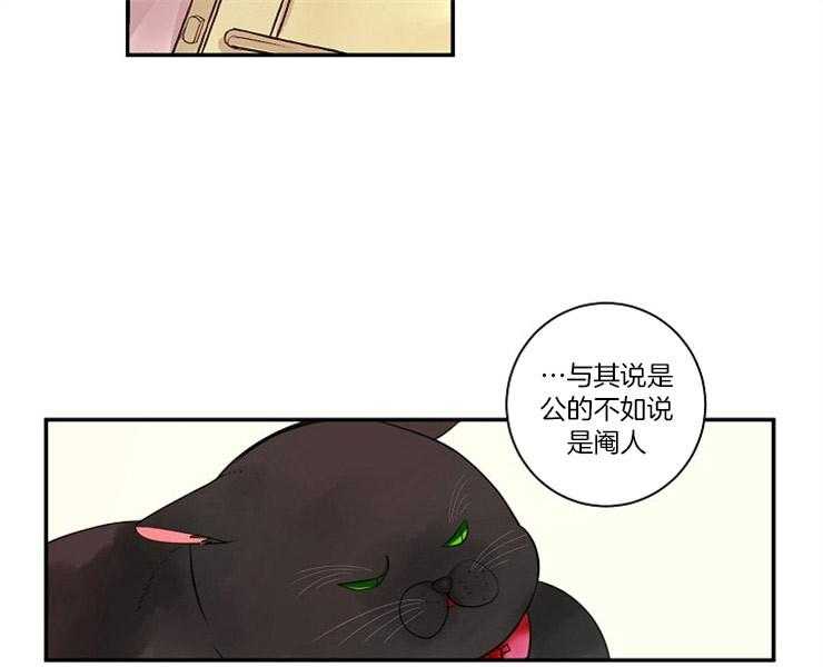 第2话 2_猫跑了6